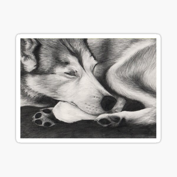 Sleeping Wolf Sticker