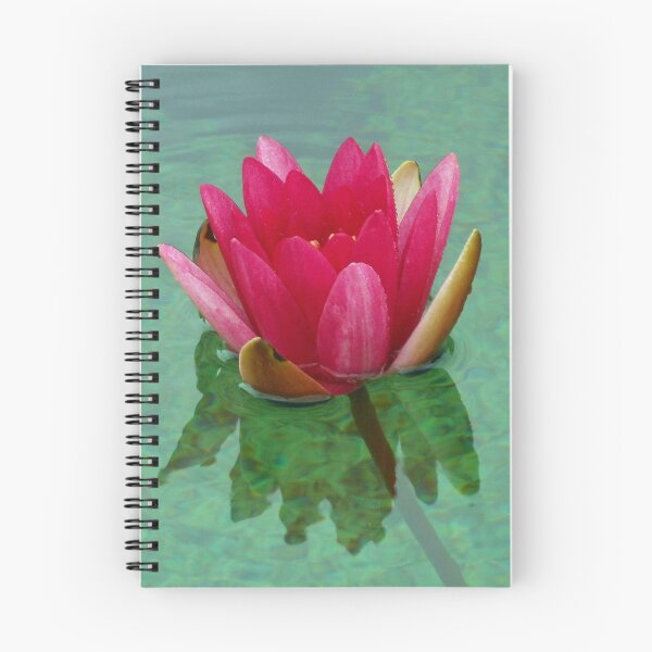 Item preview, Blush Pink Water Lily in the Rain designed and sold by SunriseRose.