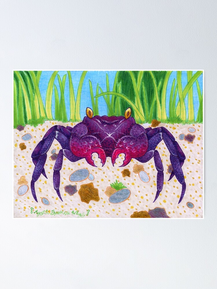 Poster Ohuhu Vampire Crab Par Xxmysticwingsxx Redbubble