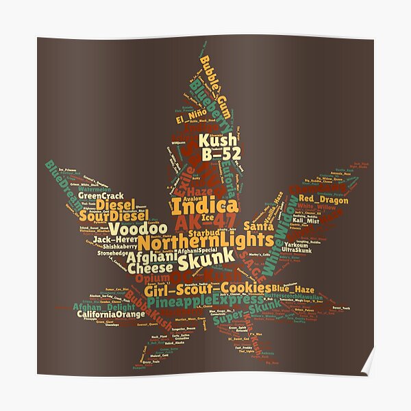Cannabis Sativa Varieties - Weed T-Shirt Poster