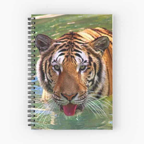 Item preview, Tiger designed and sold by Joanne wilde.