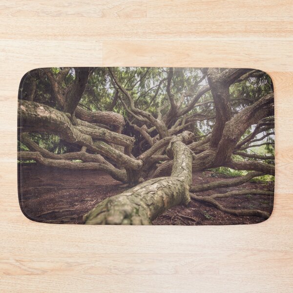 Item preview, Tree Trunk designed and sold by J. S. Wolf Photography.