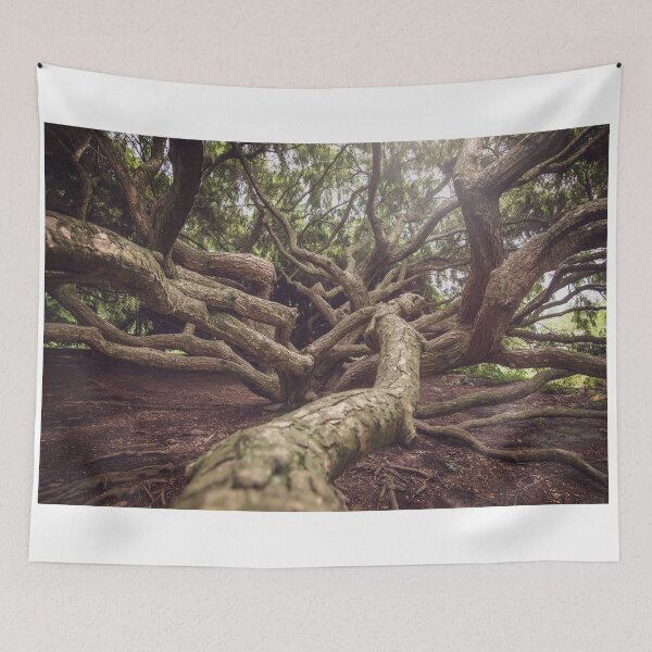 Item preview, Tree Trunk designed and sold by J. S. Wolf Photography.