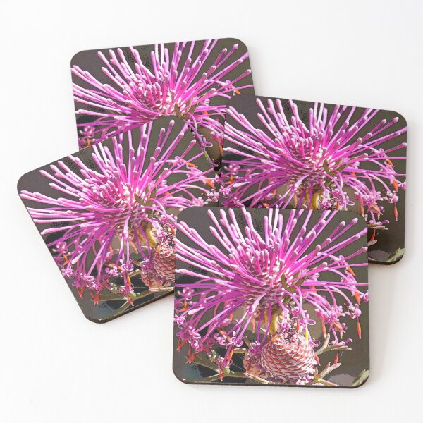 Item preview, Pixie Mop. Ambergate Reserve. Busselton Western Australia designed and sold by Leonie Mac Lean.