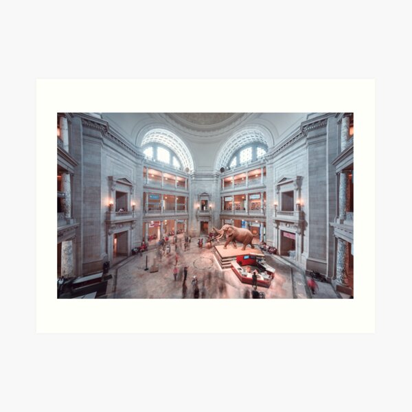 Smithsonian Natural History Museum Art Print