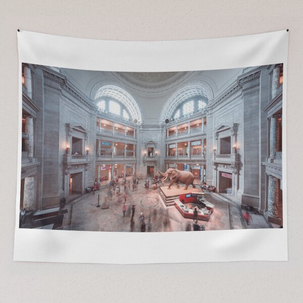 Item preview, Smithsonian Natural History Museum designed and sold by J. S. Wolf Photography.