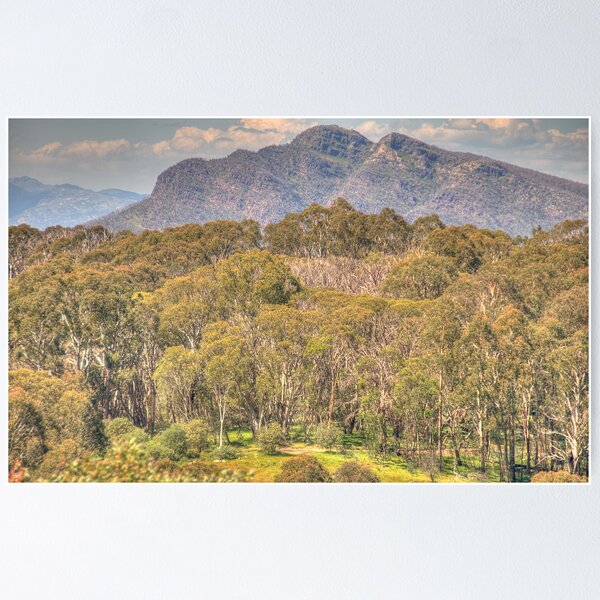 1,123 Victorian High Country Images, Stock Photos, 3D objects