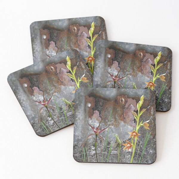 Item preview, Rusty Spider and Orchids with Rusty Tin, native orchids of Australia. designed and sold by Leonie Mac Lean.