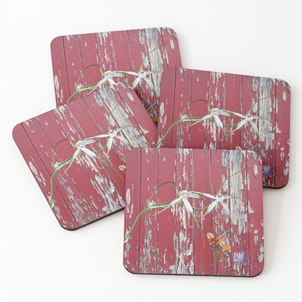 Item preview, Longicordia Orchid with Red Painted Wall, native orchids of Western Australia. designed and sold by Leonie Mac Lean.