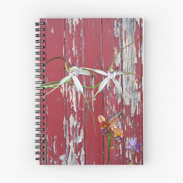 Item preview, Longicordia Orchid with Red Painted Wall, native orchids of Western Australia. designed and sold by Leonie Mac Lean.