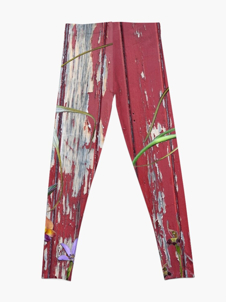 Alternate view of Longicordia Orchid with Red Painted Wall, native orchids of Western Australia. Leggings