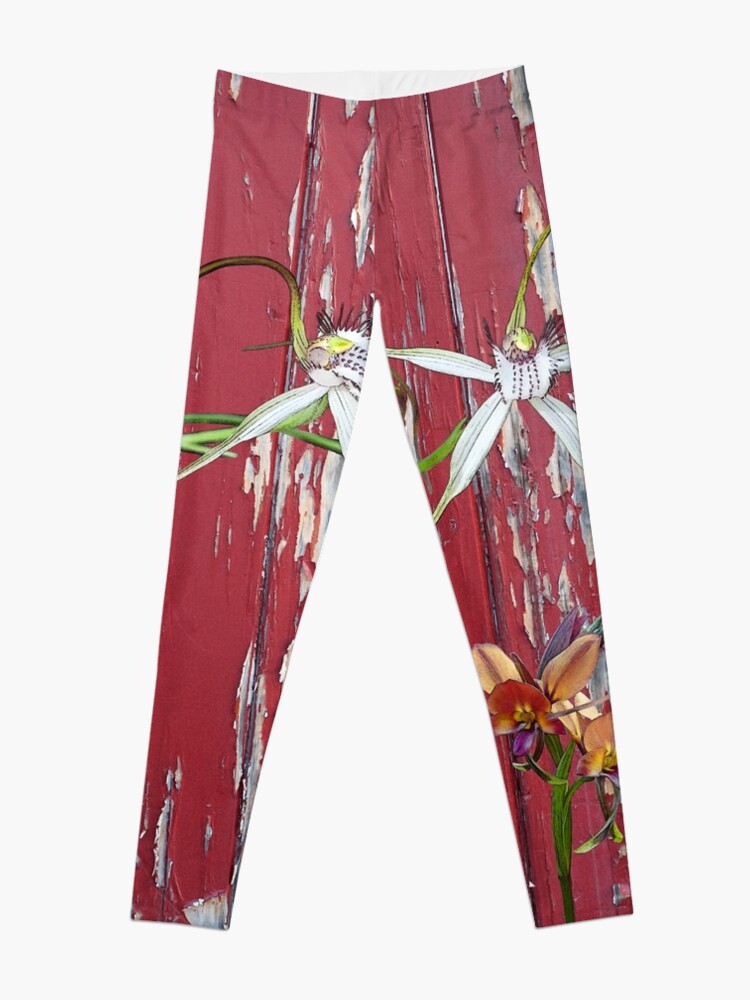 Alternate view of Longicordia Orchid with Red Painted Wall, native orchids of Western Australia. Leggings