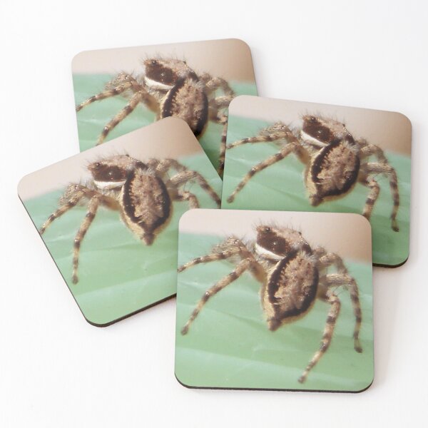 Item preview, ©NS A Spider Life VIA designed and sold by OmarHernandez.