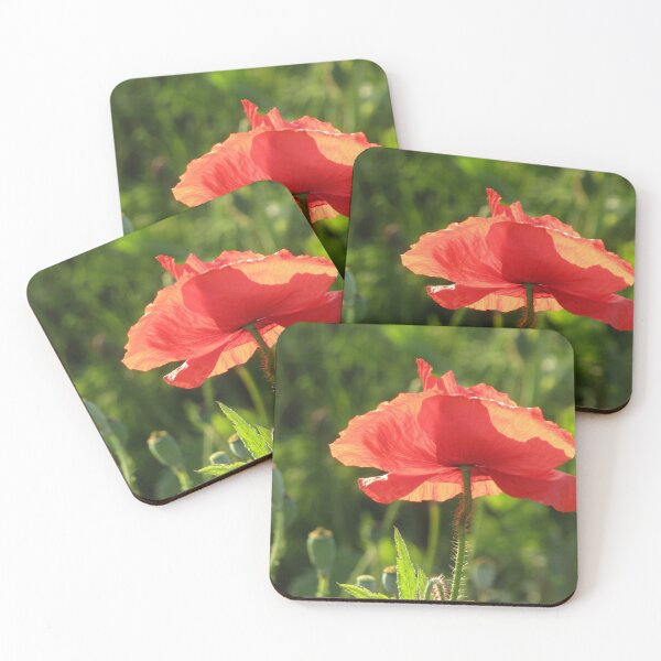 Item preview, sunlit poppy designed and sold by joshuarainbird.