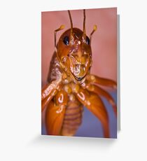 The Parktown Prawn Greeting Card