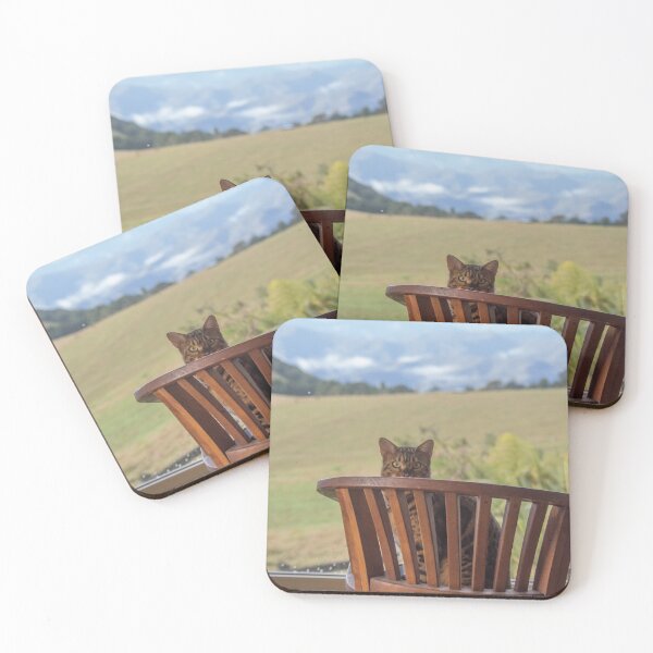 Item preview, A Cat called Tiger designed and sold by Clare Colins.