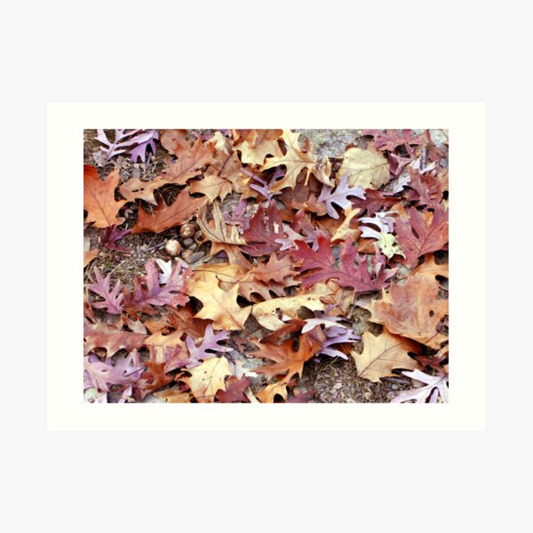 Glory Underfoot Art Print