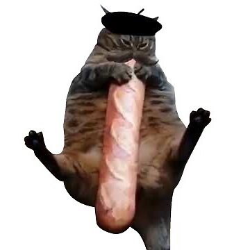 Cat baguette sale