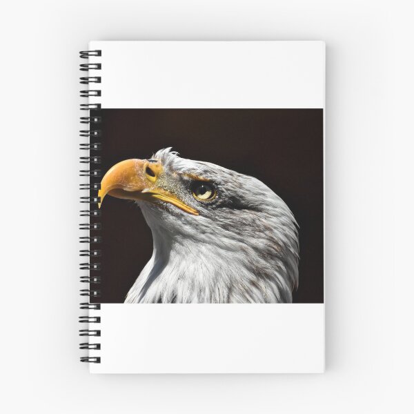 Item preview, Bald Eagle HiRes Photography Wall Art designed and sold by PODLizardWizard.