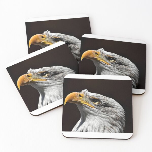 Item preview, Bald Eagle HiRes Photography Wall Art designed and sold by PODLizardWizard.