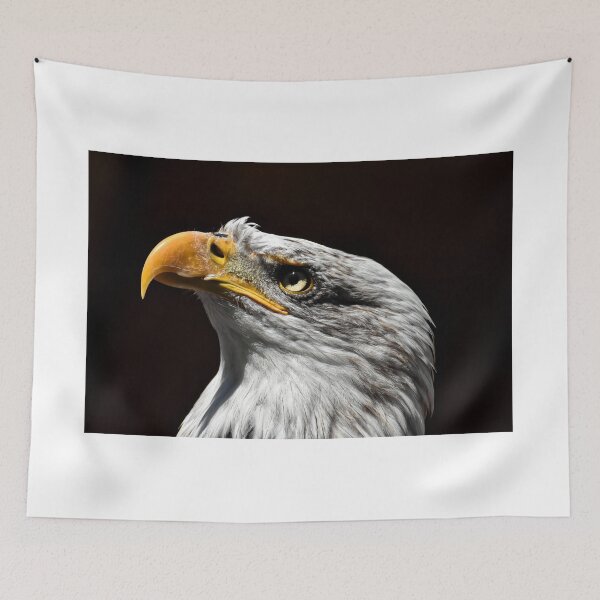Item preview, Bald Eagle HiRes Photography Wall Art designed and sold by PODLizardWizard.