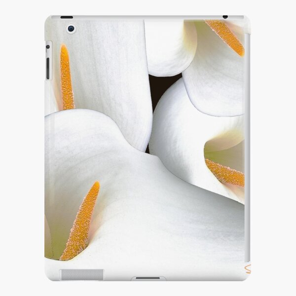 Foursome iPad Snap Case