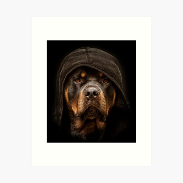 HD wallpaper: dogs puppies rottweiler 2800x4200 Animals Dogs HD Art |  Wallpaper Flare