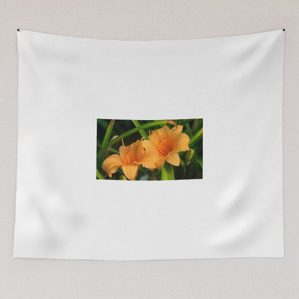 Item preview, Dreamcicle designed and sold by Brenda Burnett.