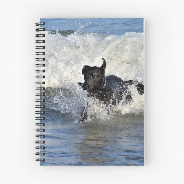 Item preview, Pure Joy designed and sold by Kathleen Brant.