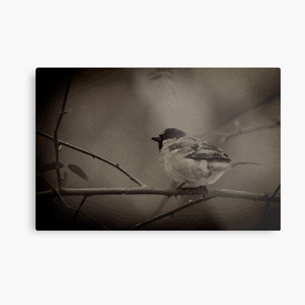 The impressionist sparrow Metal Print