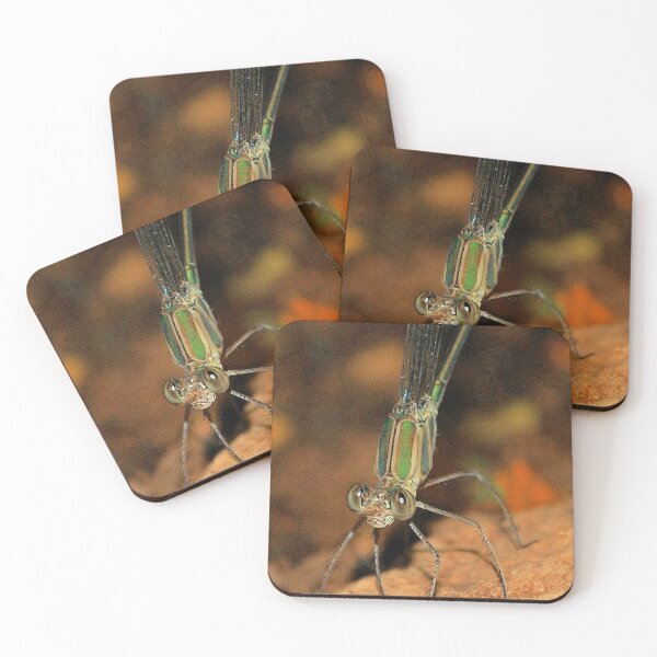 Item preview, *ZYGOPTERA* - *_Family Calopterygidae_* Demoiselles (Damselflies) designed and sold by Magriet Meintjes.
