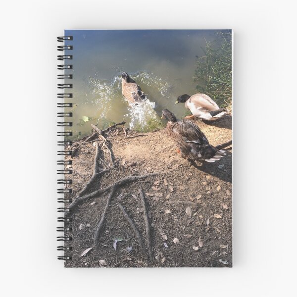 Item preview, Ducks returning to pond designed and sold by Rita Kindle.