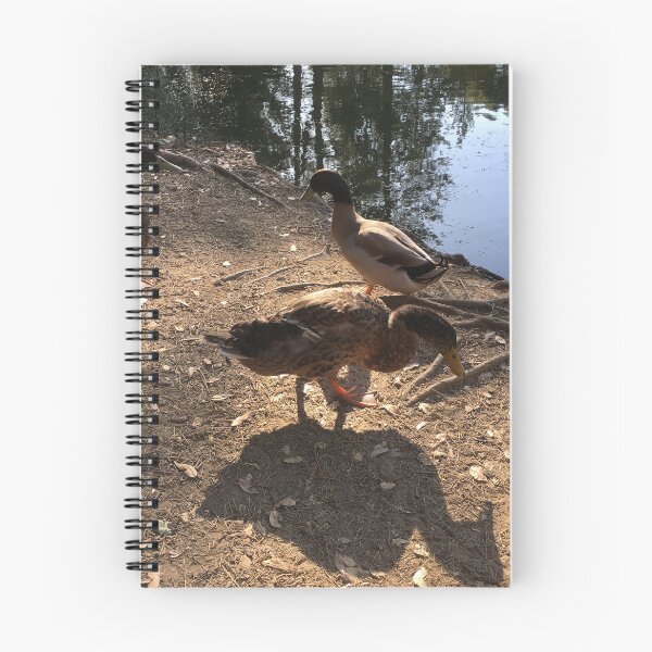 Item preview, Ducks and their shadows designed and sold by Rita Kindle.