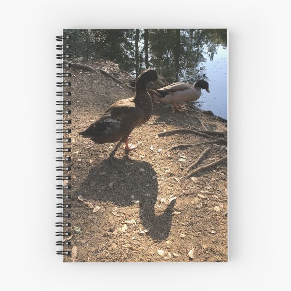 Item preview, Duck's shadow designed and sold by Rita Kindle.