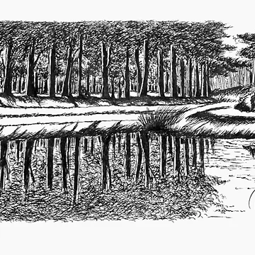 Artwork thumbnail, Reflections by ROB51