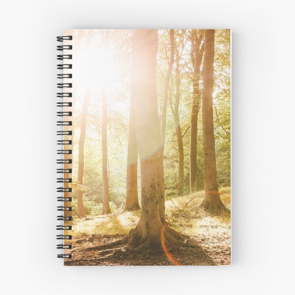 Item preview, Sunlight Forrest HiRes Photographic Artwork designed and sold by PODLizardWizard.