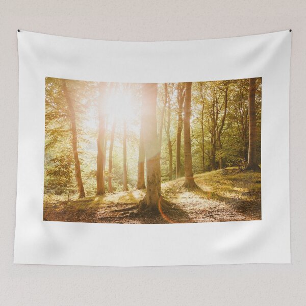 Item preview, Sunlight Forrest HiRes Photographic Artwork designed and sold by PODLizardWizard.