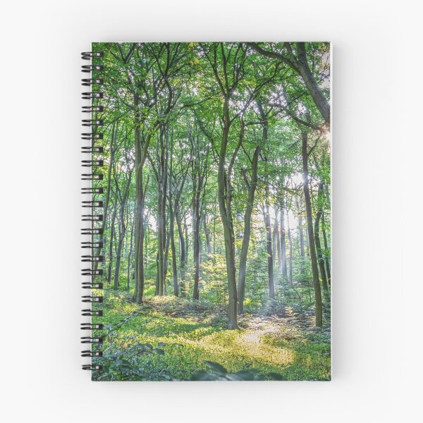 Item preview, Beautiful Light Breaking Through The Trees HiRes Photographic Artwork designed and sold by PODLizardWizard.