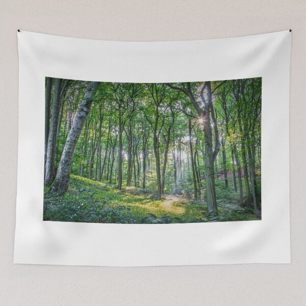 Item preview, Beautiful Light Breaking Through The Trees HiRes Photographic Artwork designed and sold by PODLizardWizard.
