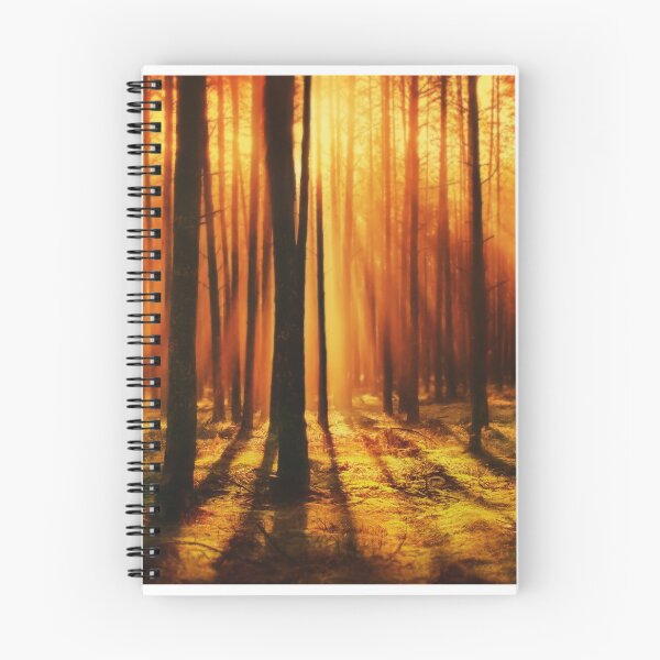 Item preview, Dark Spooky Forrest Sunset Photographic Art designed and sold by PODLizardWizard.