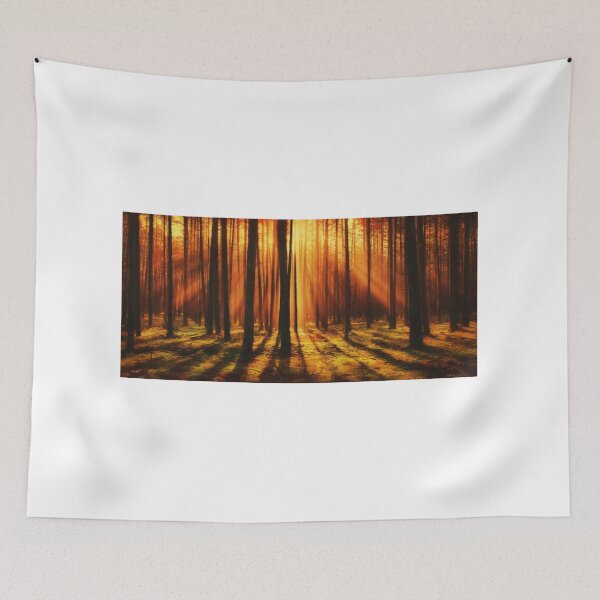 Item preview, Dark Spooky Forrest Sunset Photographic Art designed and sold by PODLizardWizard.