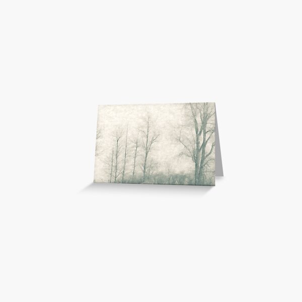 November At Lake Erie Greeting Card