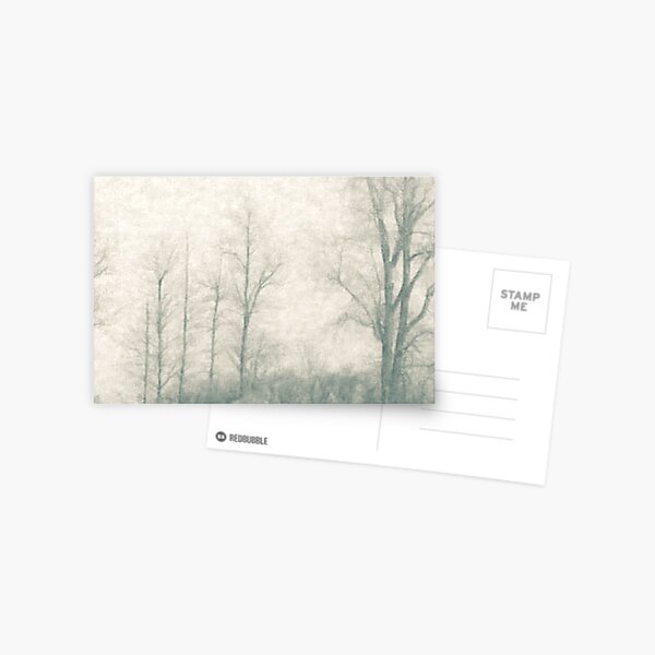 November At Lake Erie Postcard
