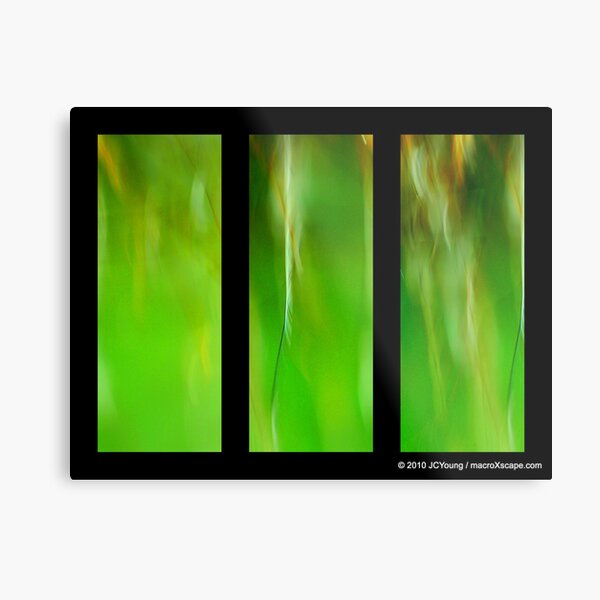 Green Rain Metal Print