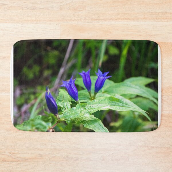 Item preview, Blue bell flowers designed and sold by Sunil Bhardwaj.
