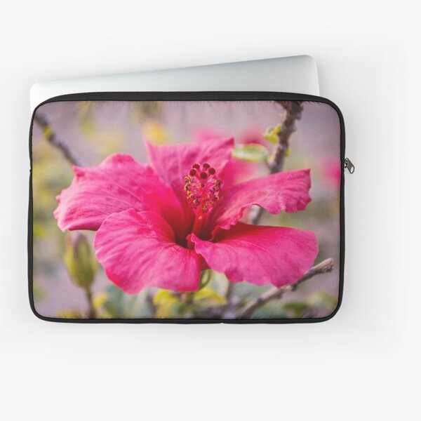 Hawaii Abstract Grunge Floral Handbag Laptop Bag Compatible 13-13.3 inch MacBook Air Pro 13 inch Laptop Messenger Tribal Vintage Hawaiian Hibiscus Flowers Wallpaper Hawaii Abstract Grunge Floral Handbag Laptop Bag Compatible 13-13.3 inch MacBook Air Pro 13 inch Laptop Messenger Tribal Vintage Hawaiian Hibiscus Flowers Wallpaper