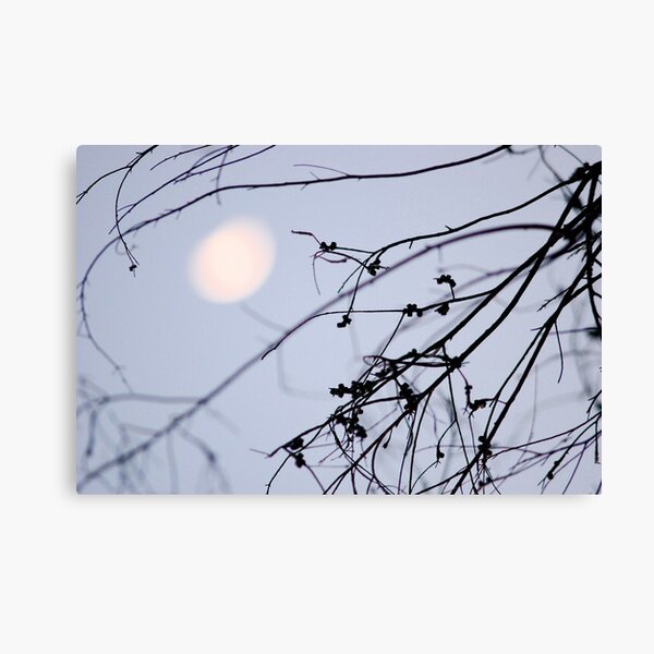 half moon Canvas Print