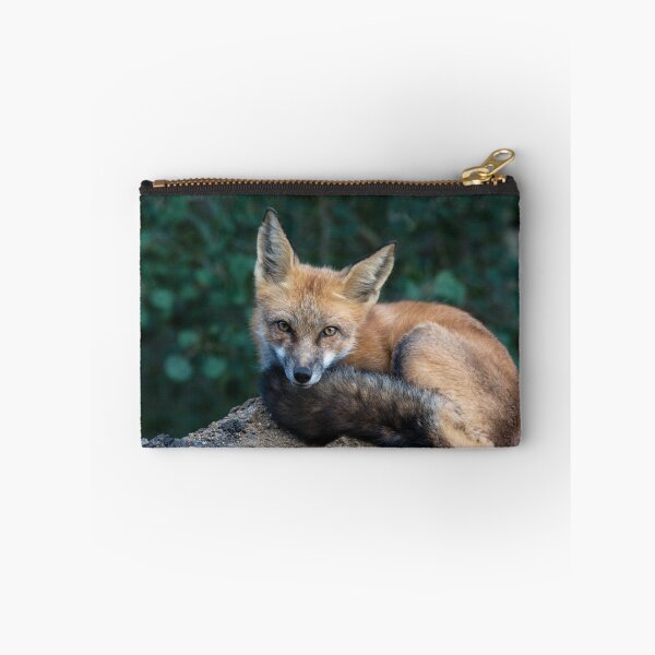 Item preview, Fox Look designed and sold by Eivor Kuchta.