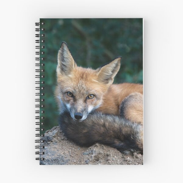 Item preview, Fox Look designed and sold by Eivor Kuchta.