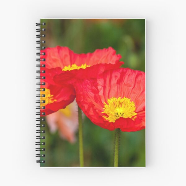 Item preview, Trio of red poppies designed and sold by Fran Woods.